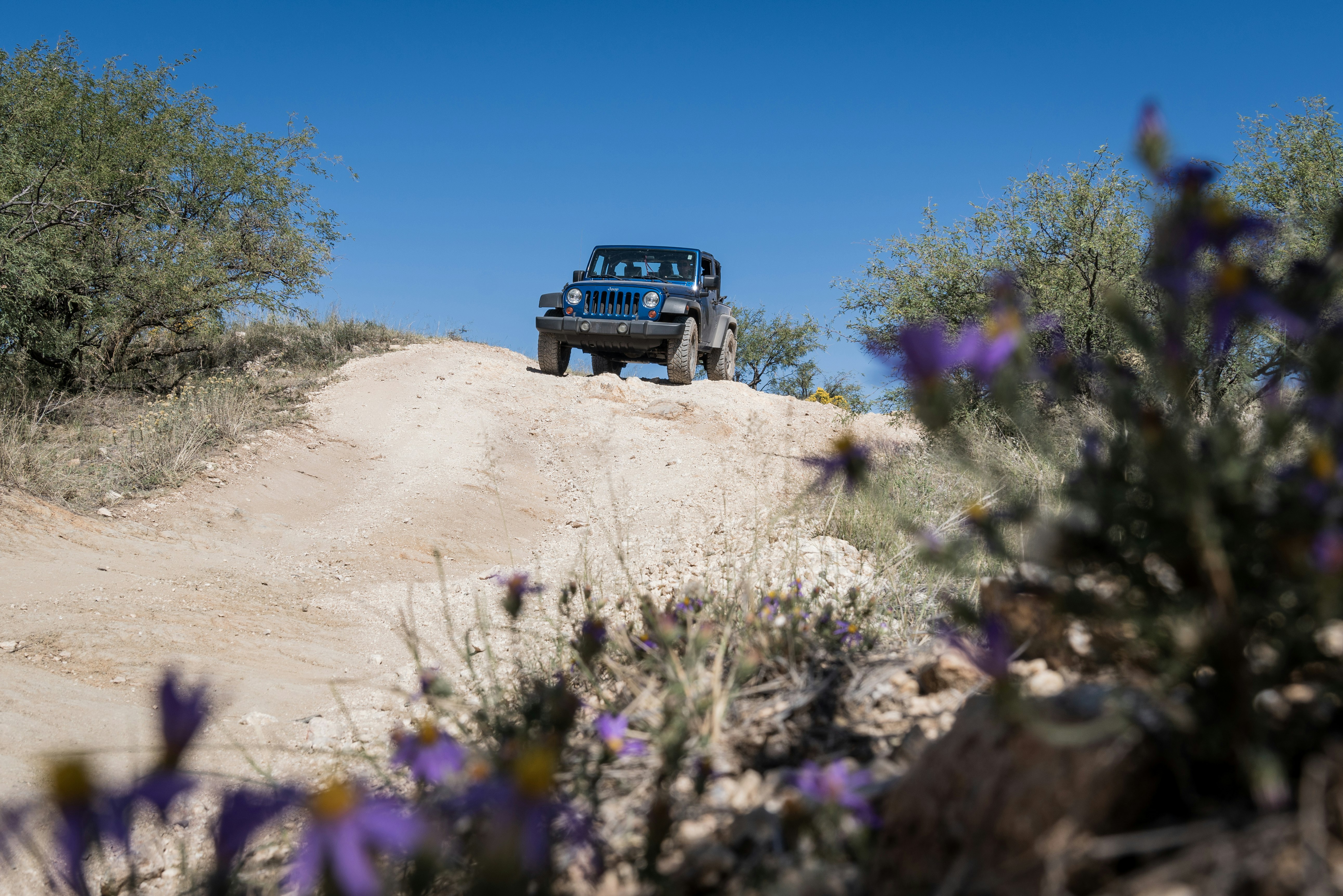 blue Jeep Wrangler on dirt road